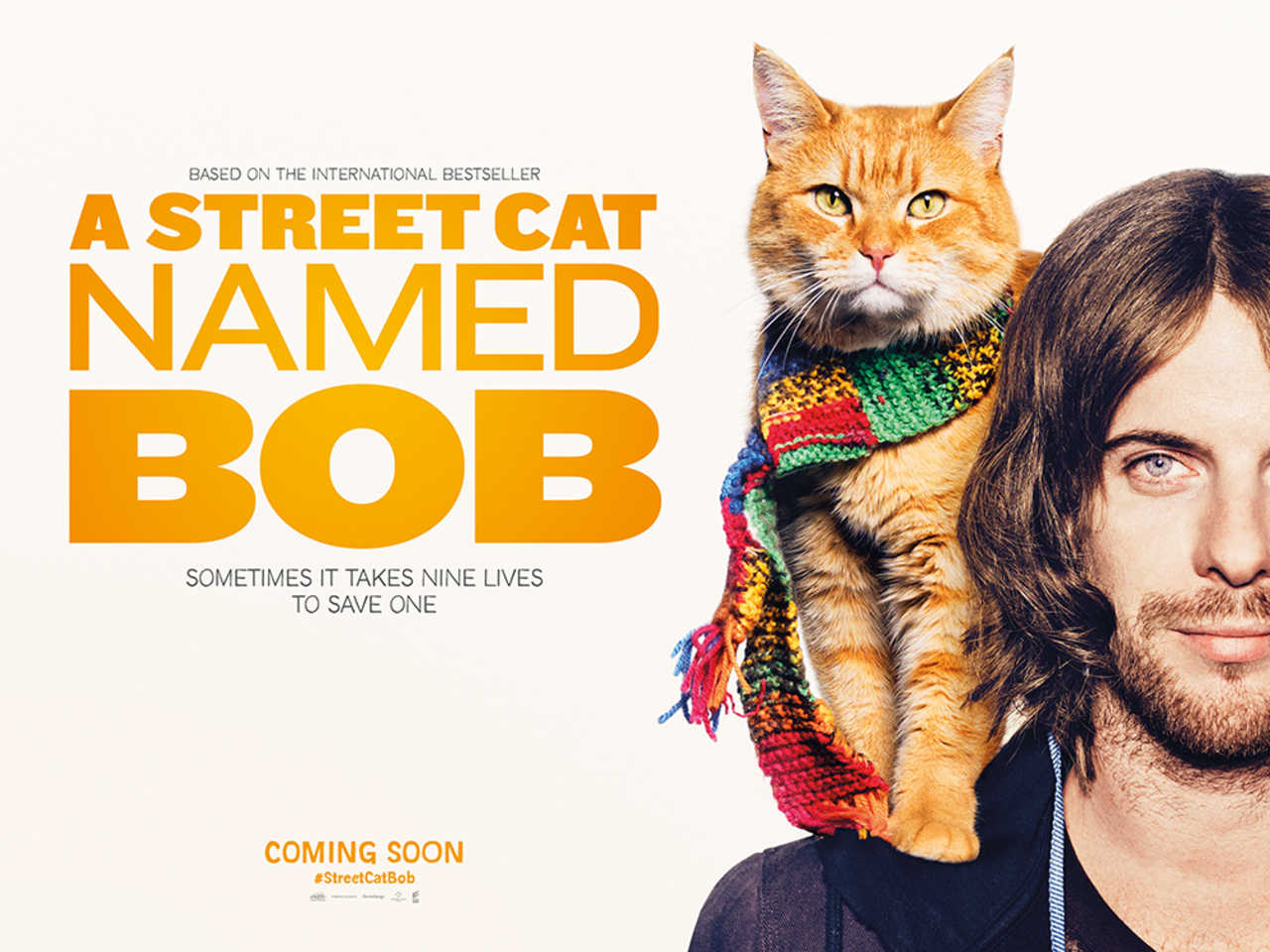 Vergonzoso Academia lantano Un gato callejero llamado Bob; te hará ronronear de amor - La Séptima  Pantalla